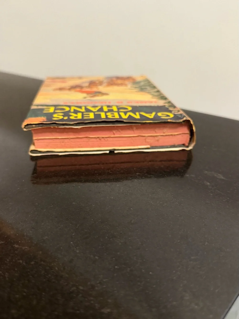 The Gamblers Chance. Author, James B. Hendrix. Vintage book.